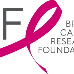 Breast Cancer Research Foundation logo